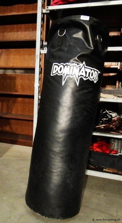 gas vaak Registratie Dominator punching bag / boxing bag - Catawiki