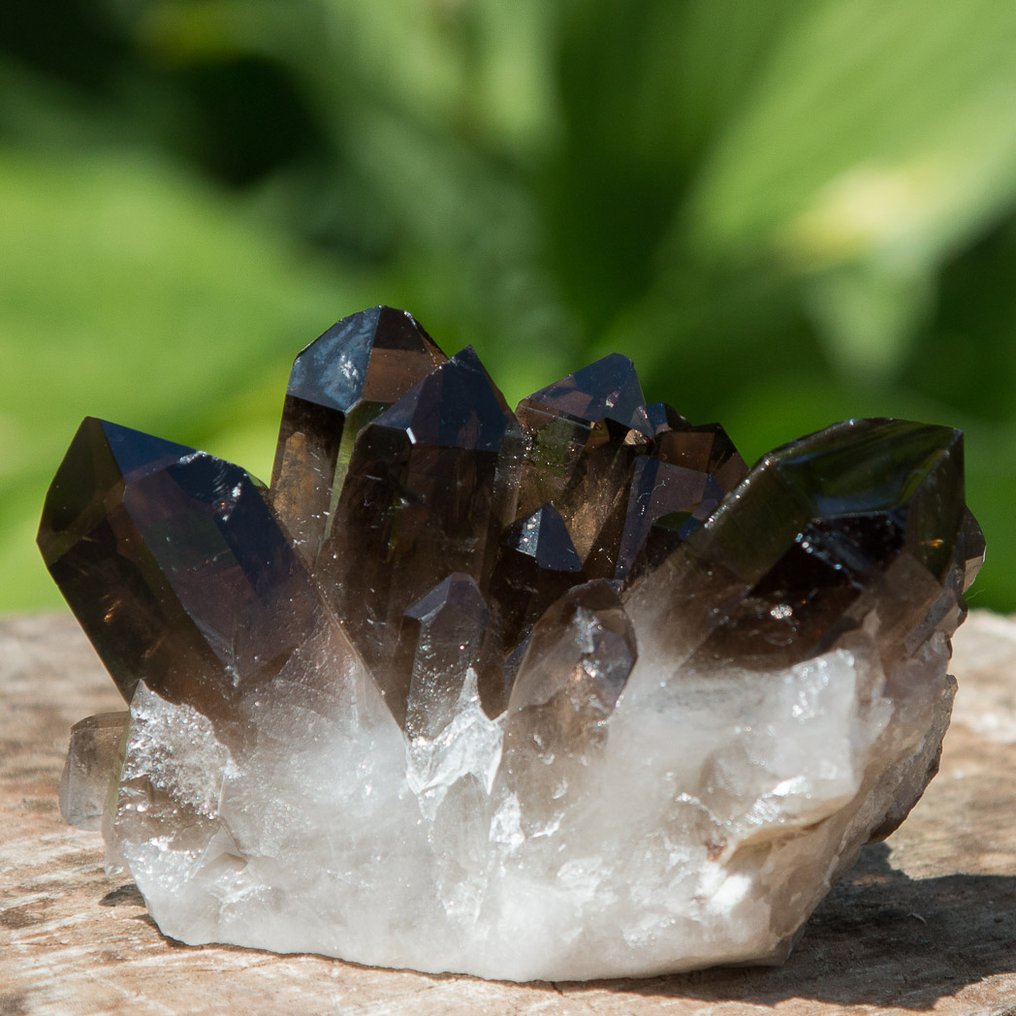 smoky-quartz-cluster-9-5-x-6-x-6-cm-316-gr-catawiki