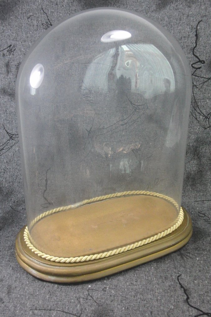 Gaan reguleren Wees grote oude ovale glazen stolp - 45 cm - Glas - Catawiki