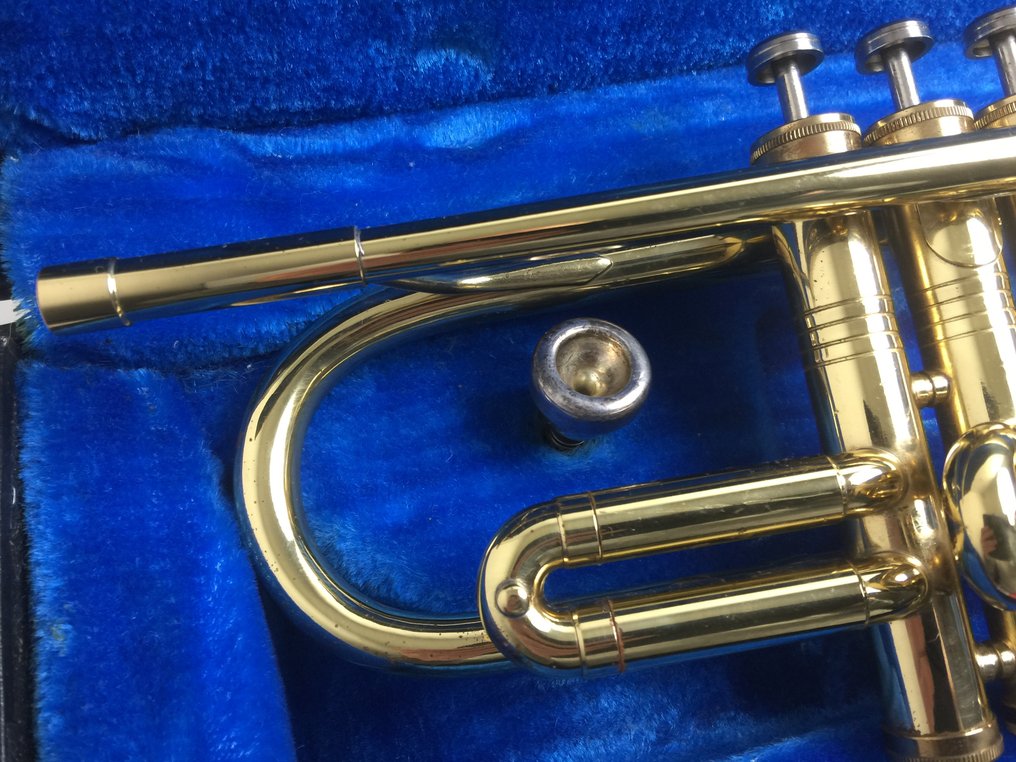 ライトニングボルト ヴィンテージ‼️swallow トランペット | iuggu.ru