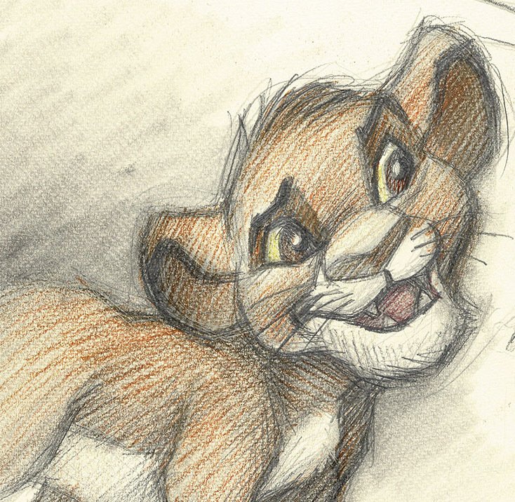 Simba Scar The Lion King Original Drawing Joan Catawiki