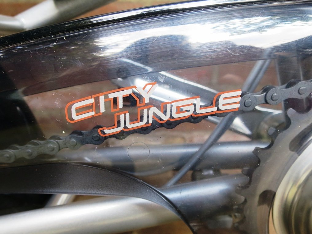 barsten Mogelijk Afrekenen Gazelle - scooter bike pro city jungle - City bike - 2003 - Catawiki