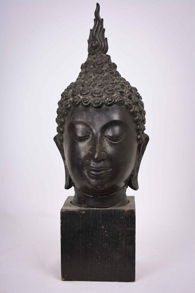 Zilver noodzaak Levendig Boeddha hoofd - Brons, Hout - Thailand - Tweede helft 20e - Catawiki