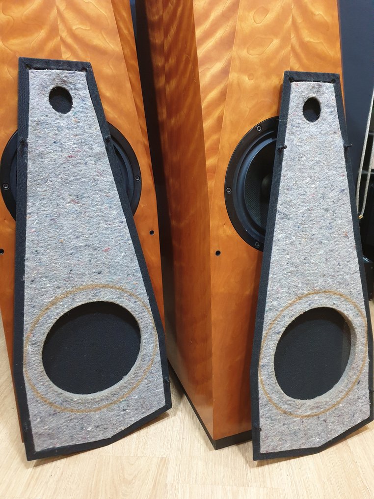Avalon Eclipse Floorstanding Speakers; Wood Veneer, 52% OFF