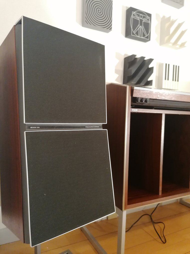 Bang Olufsen Beovox S55 in rosewood refoamed and