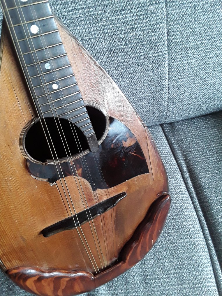 Luigi Embergher Mandolin Italy 1934 Catawiki