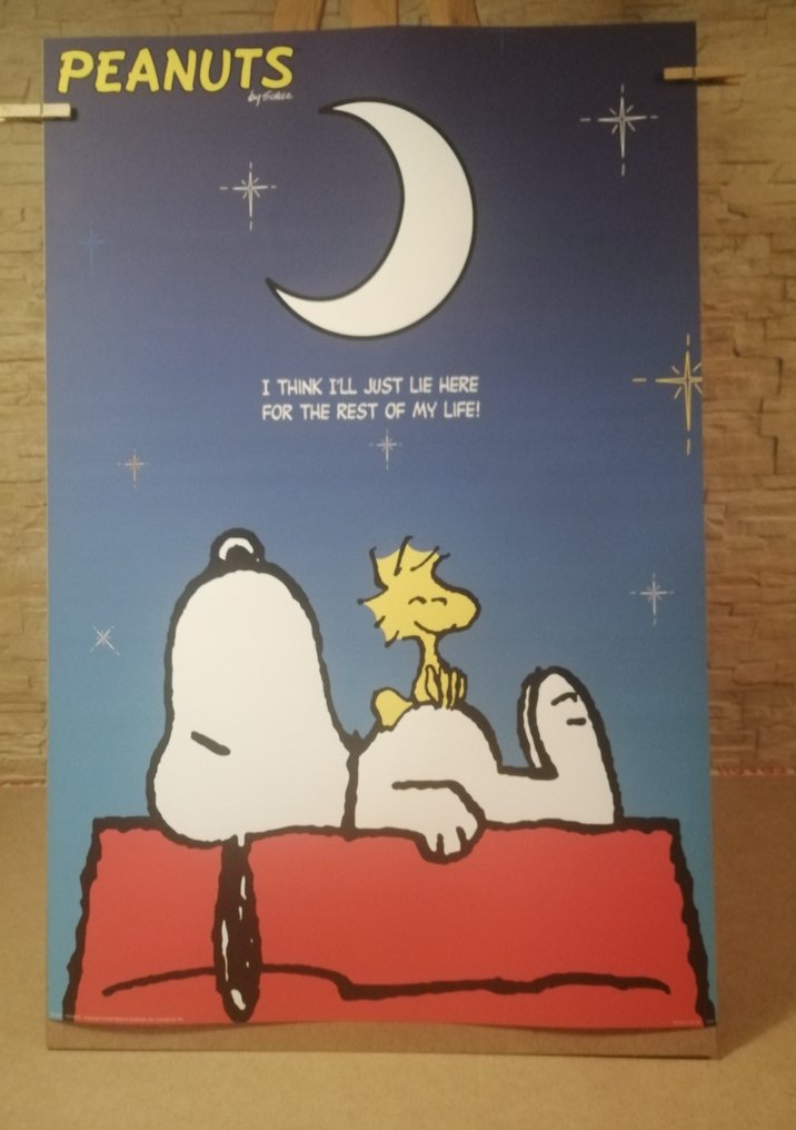 Charles Schulz SNOOPY PHILOSOPHY Catawiki