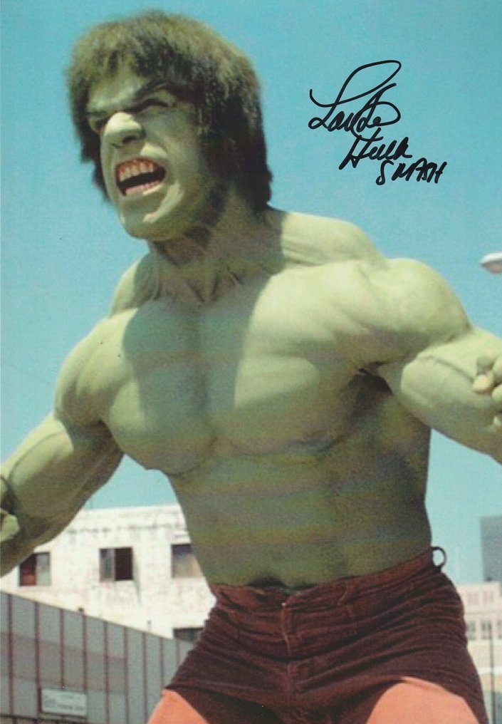 The Incredible Hulk Classic TV Lou Ferrigno as the Catawiki