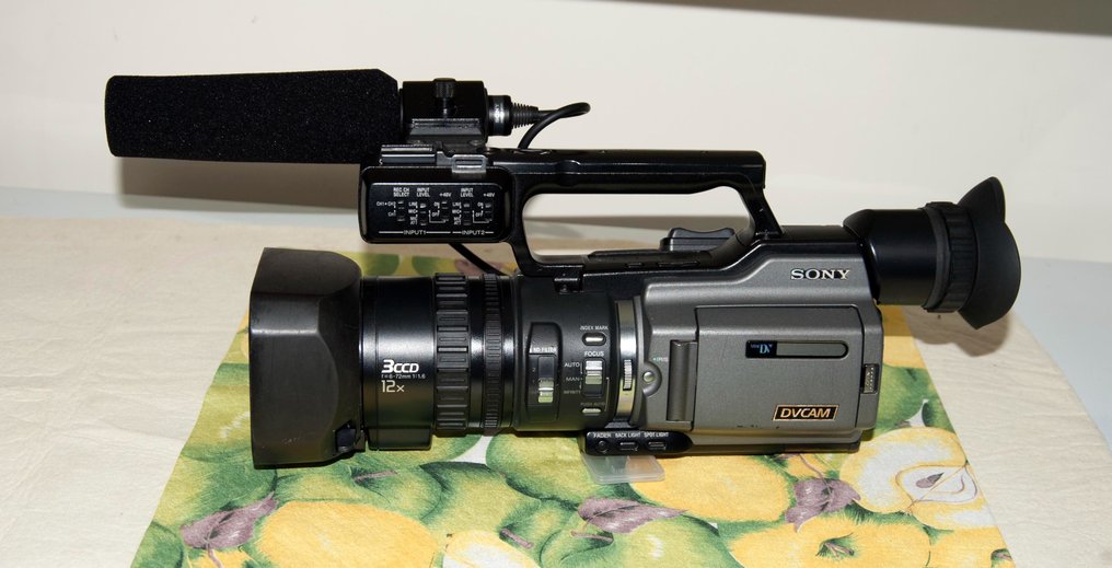 Sony Videocamera pro dv cam DSRPD170P Catawiki