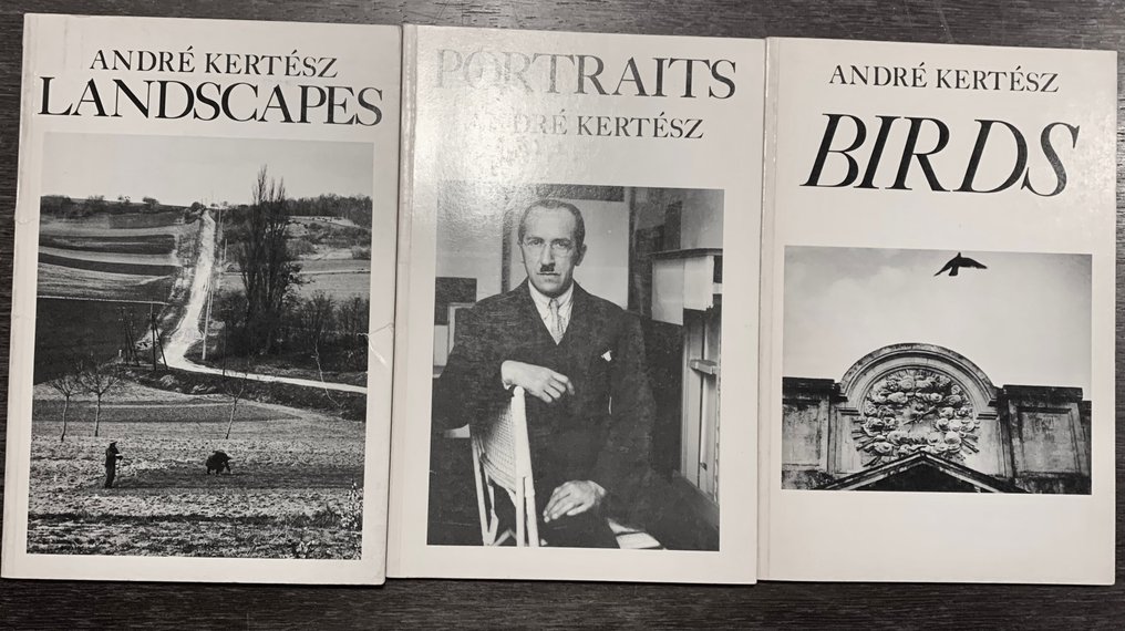 André Kertész Lot with 4 books Birds, Landscape, Catawiki