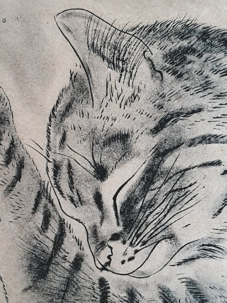 Cat From A Book