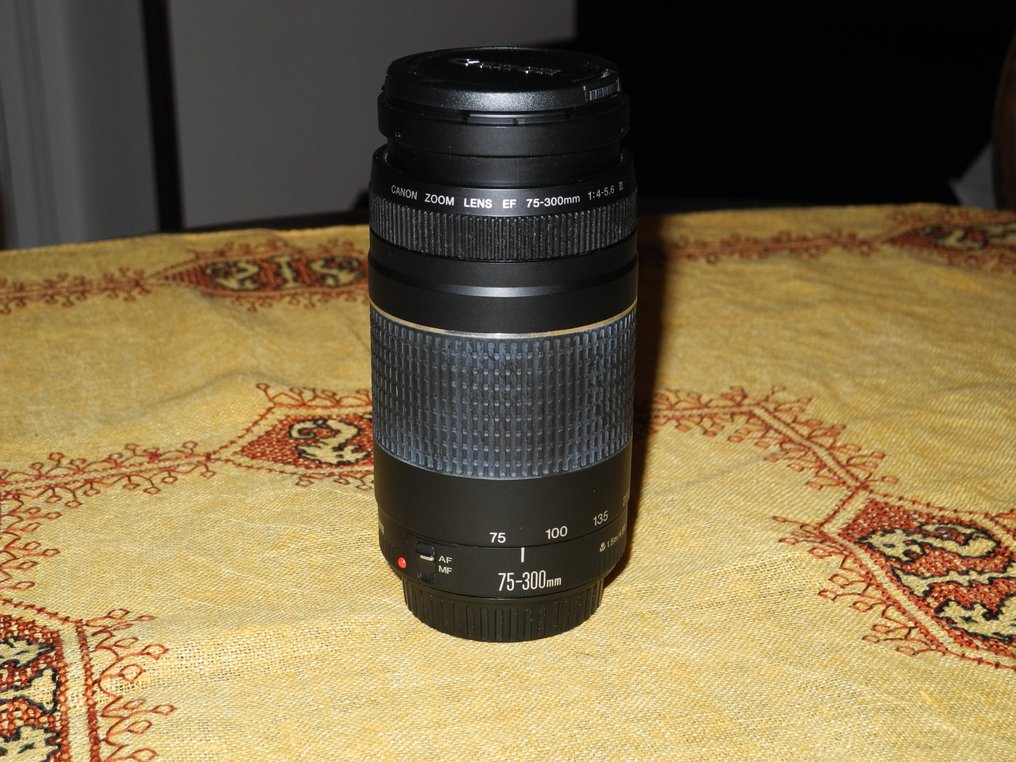 Canon Ef 75 300mm 1 4 5 6 Iii Catawiki