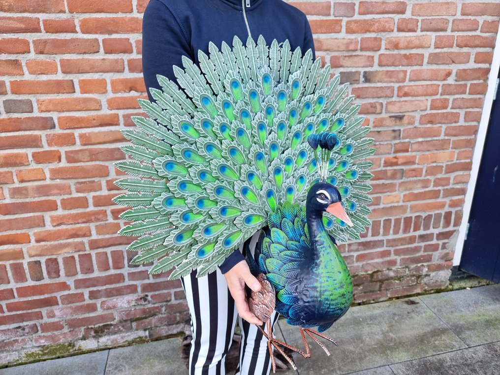 Statue, XL Metal Garden Peacock 63 cm metal Catawiki