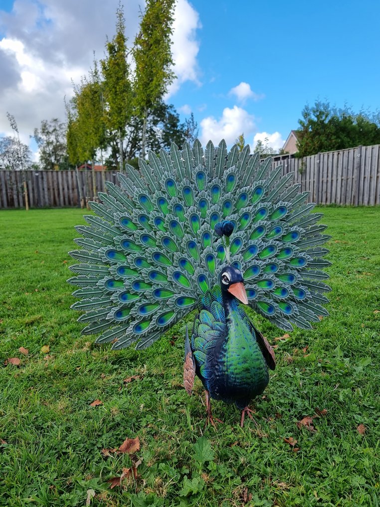 Statue, XL Metal Garden Peacock 63 cm metal Catawiki