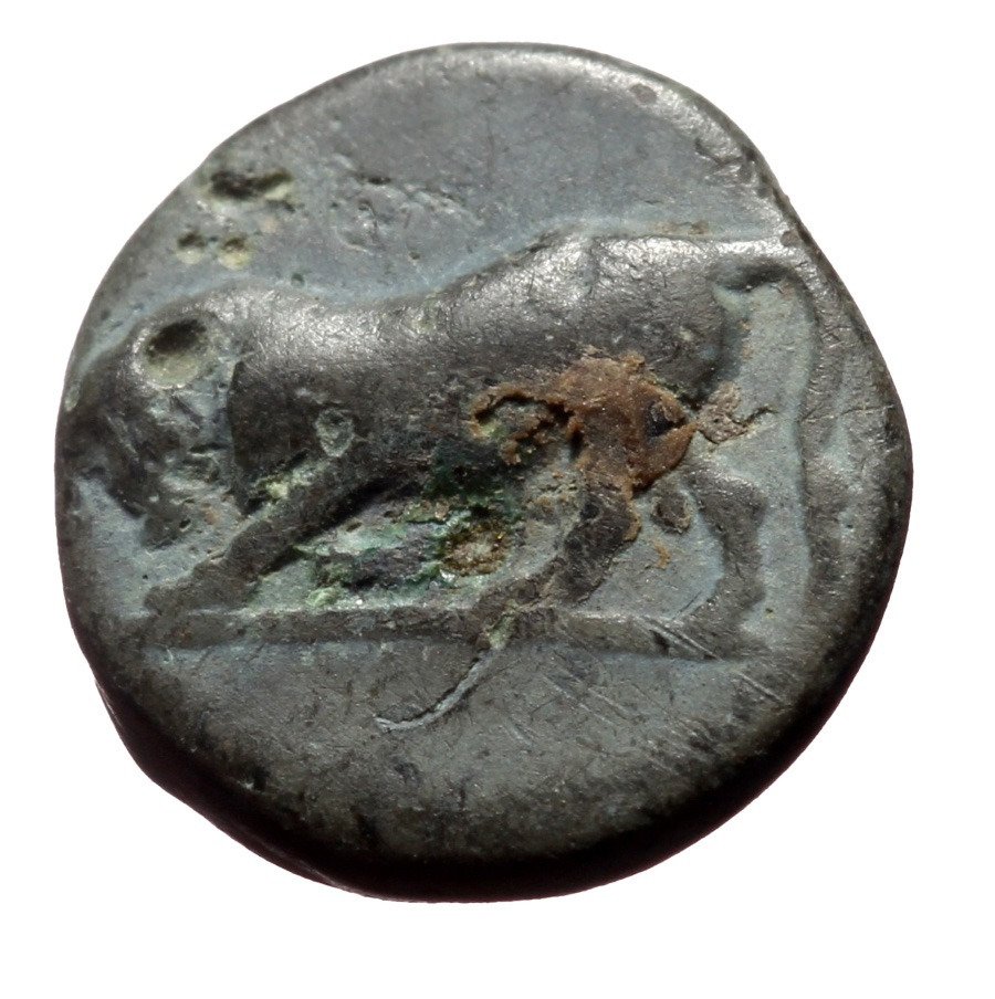 Misia, Gambrio. AE10 4th century BC Catawiki