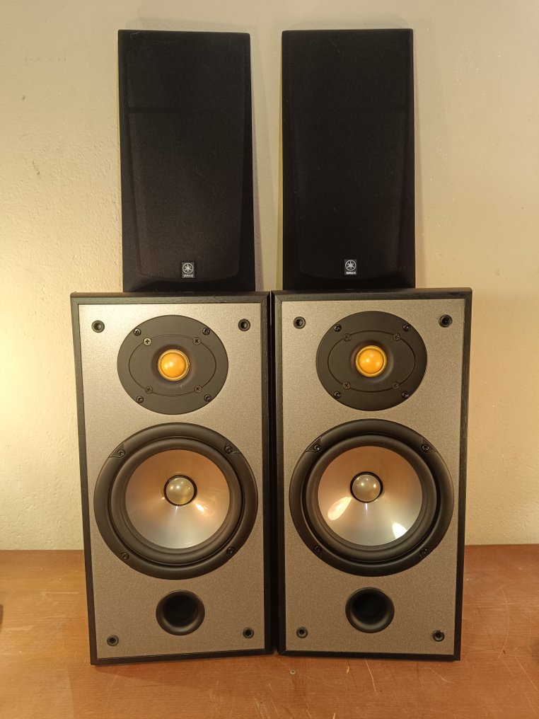 Yamaha ns100 hotsell