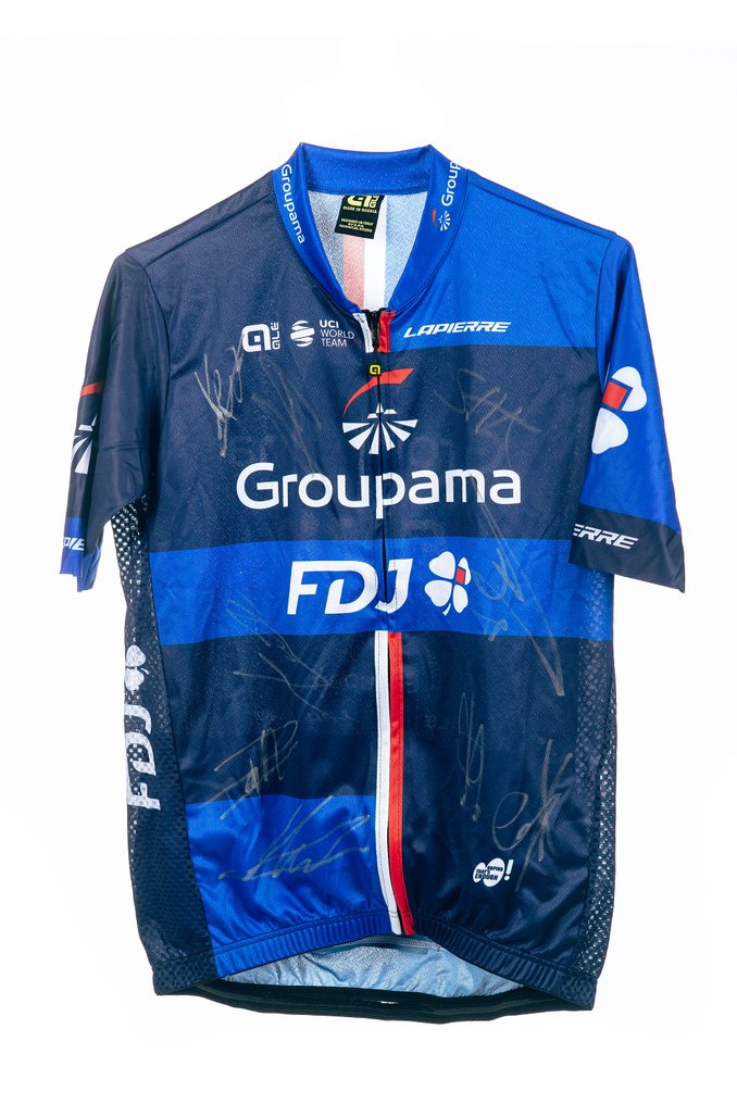 Equipe cycliste Groupama-FDJ - Tour de France - Alé replica jersey ...