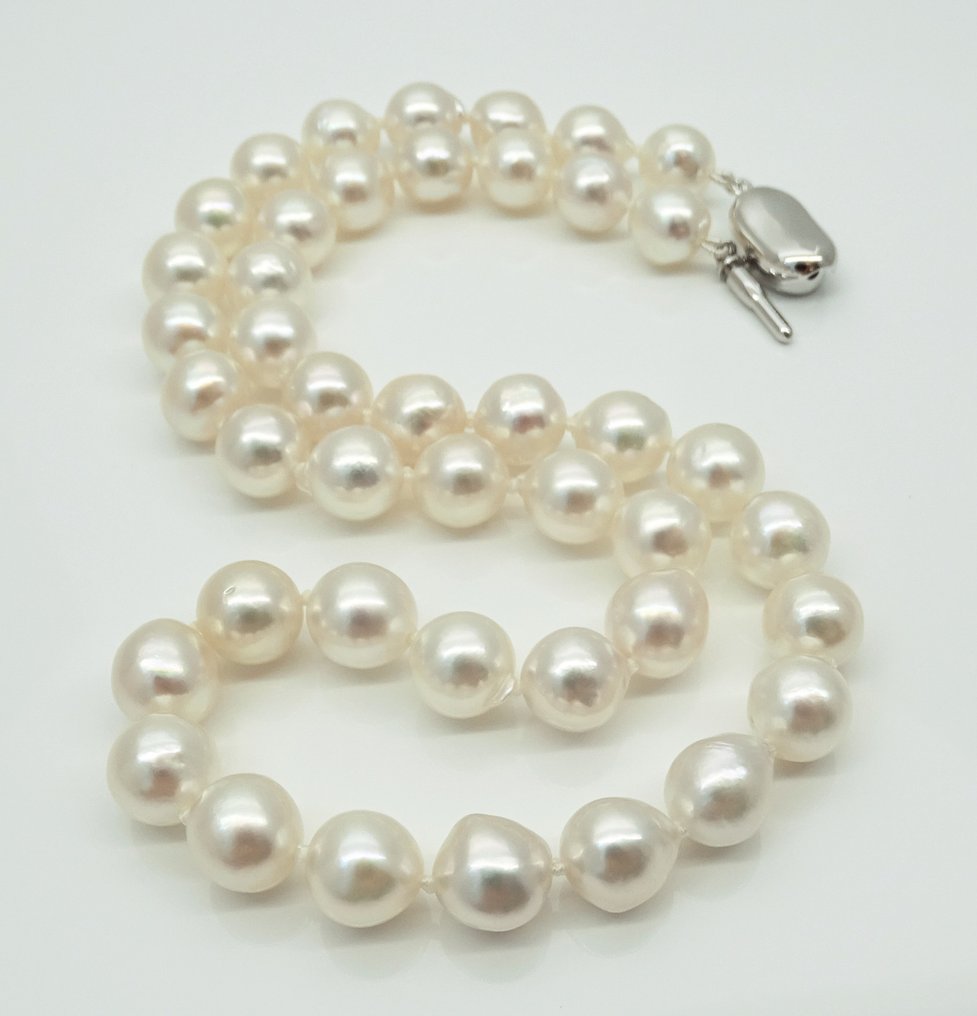 Pearl seiwa price discount