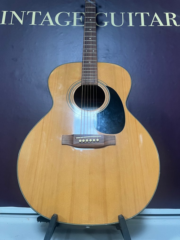 Takamine EG 230 Semi Acoustic Guitarra ac stica Indon sia