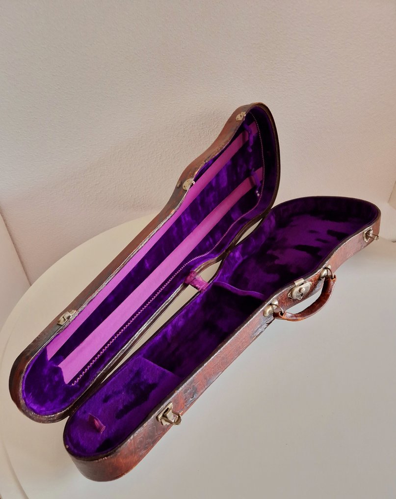 Unknown Instrument case Catawiki