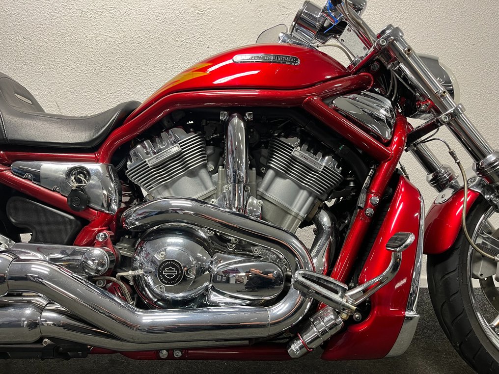 Harley-Davidson - VRSCSE - V-ROD - Screamin Eagle - CVO - 1250 cc - 2005 #3.2