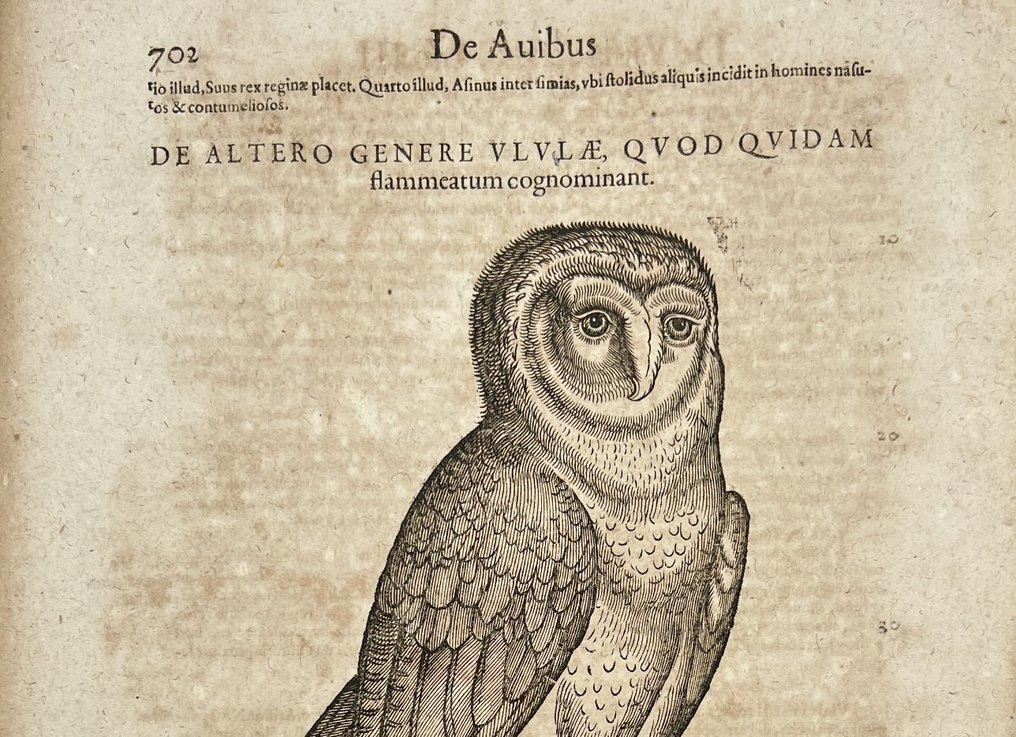 Conrad Gesner (1516-1565) - from ”Historia Animalium” - Catawiki