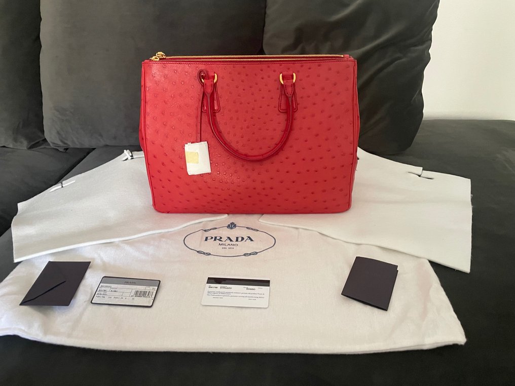 Prada online ostrich bag
