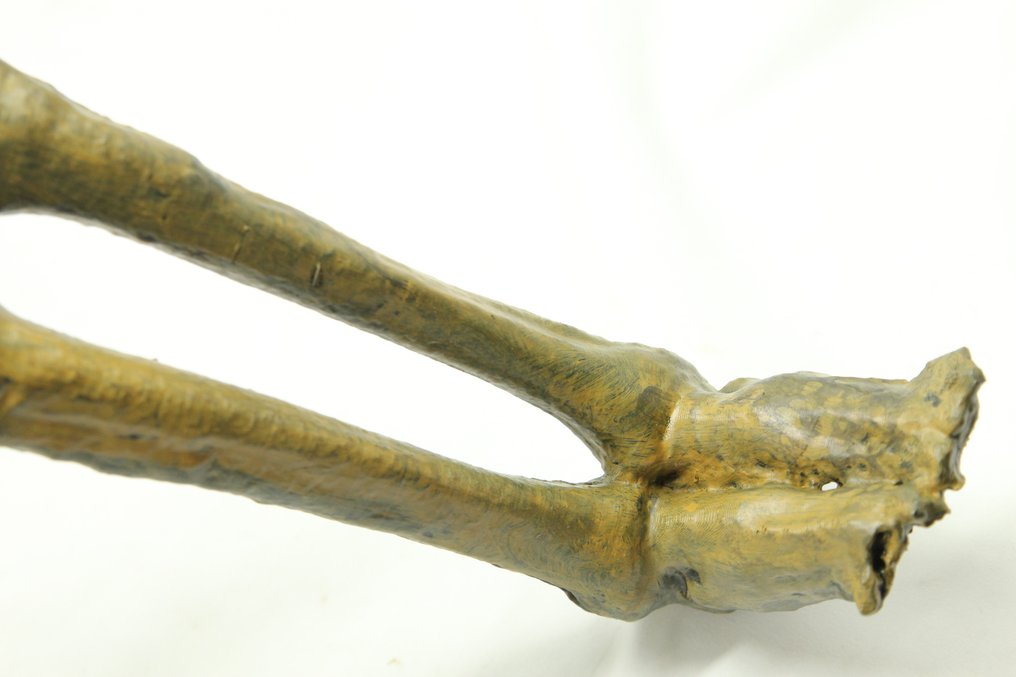 accurate-replica-of-an-ancient-egyptian-child-mummy-77-15-12-cm