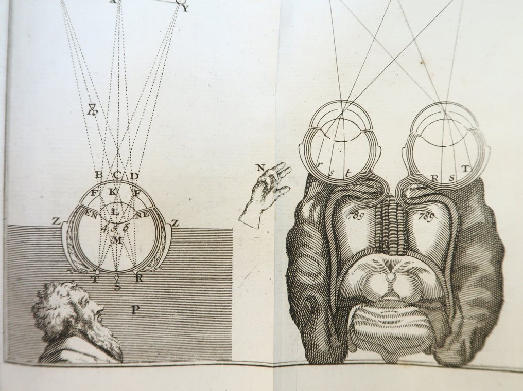 René Descartes Discours de la méthode pour bien conduire sa raison