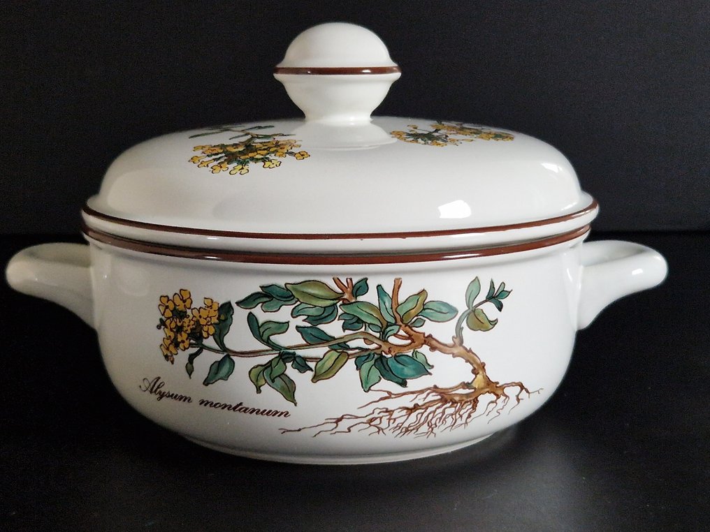Villeroy & Boch Dinner service (3) Botanica, dekselpan en 2 oven