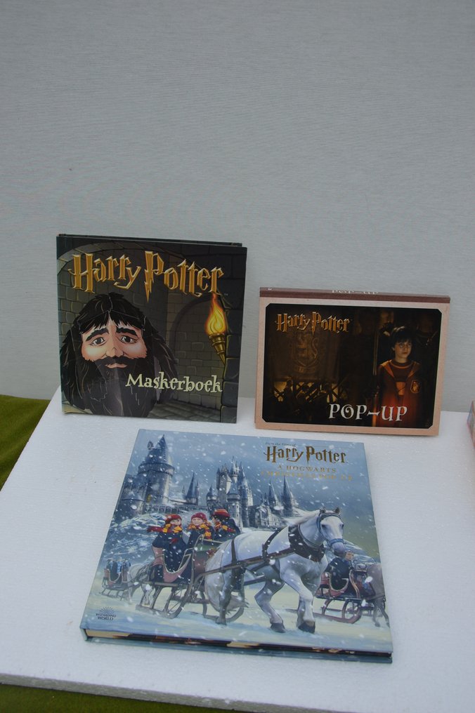 Harry Potter Daniel Radcliffe (Harry Potter) Warner Bros. Buch pop up Catawiki