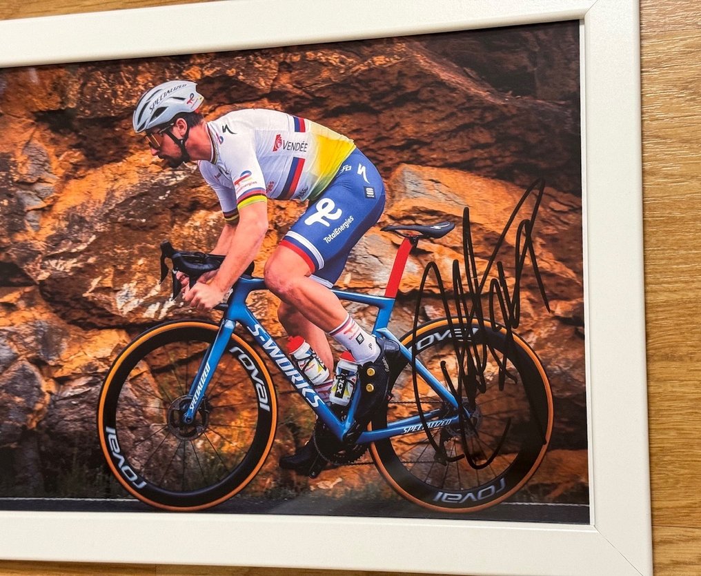 Peter Sagan, Team TotalEnergies - Ciclismo, enmarcado - Catawiki