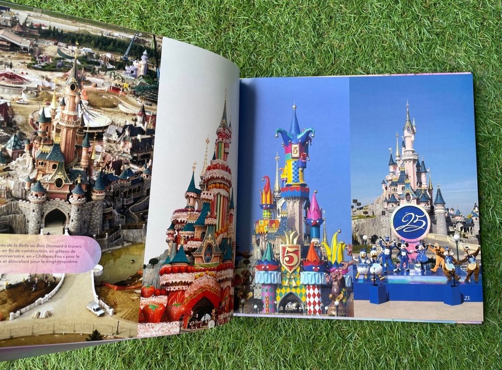 Disney Parks Libro de firmas del 30 aniversario del miembro del elenco de Disneyland  Paris - Catawiki