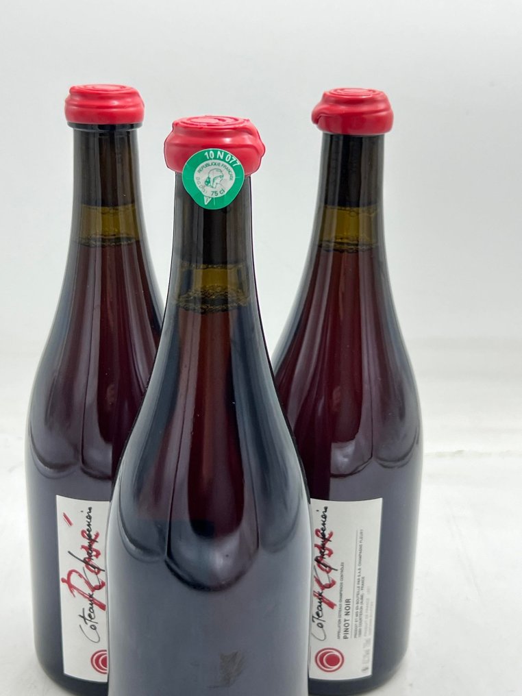 Fleury Coteaux Champenois Pinot Noir rosé - Champagne - 3 Bottles (0 ...