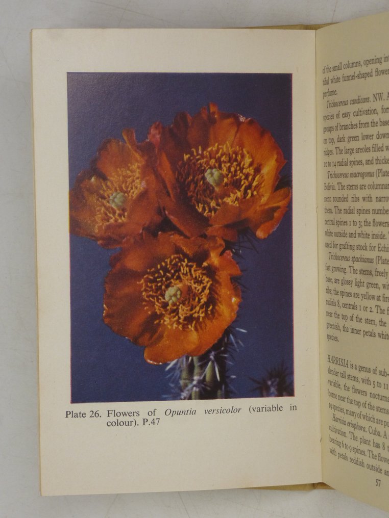 Collated The Observer's books 3volume set Garden flowers, House