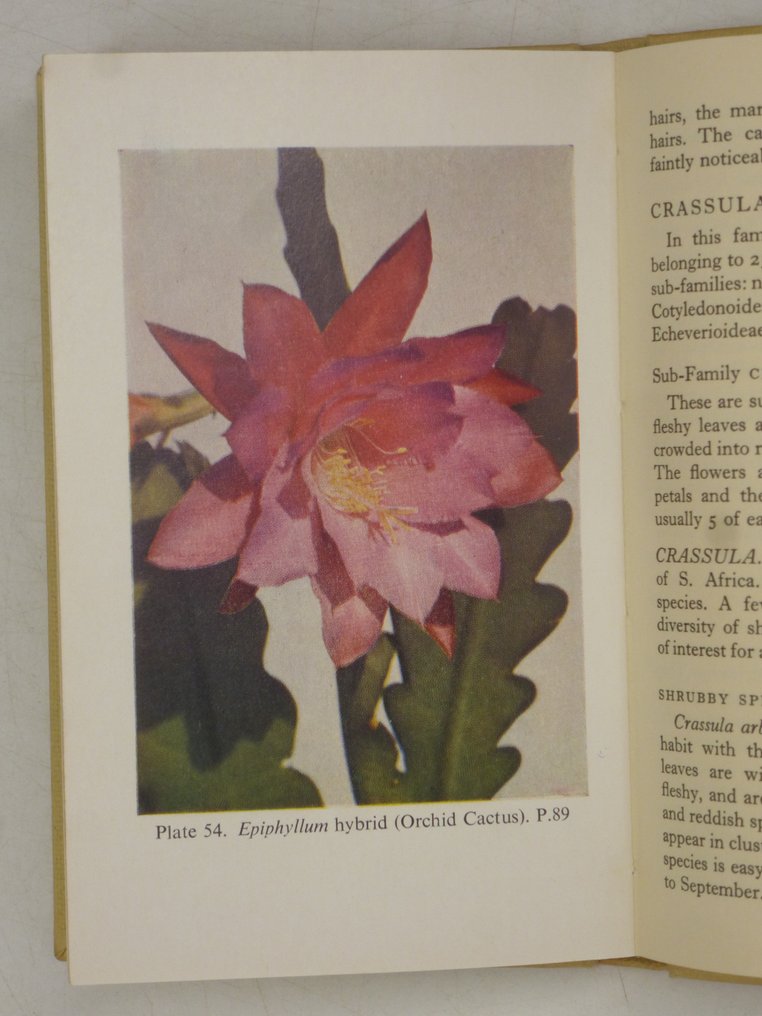 Collated The Observer's books 3volume set Garden flowers, House