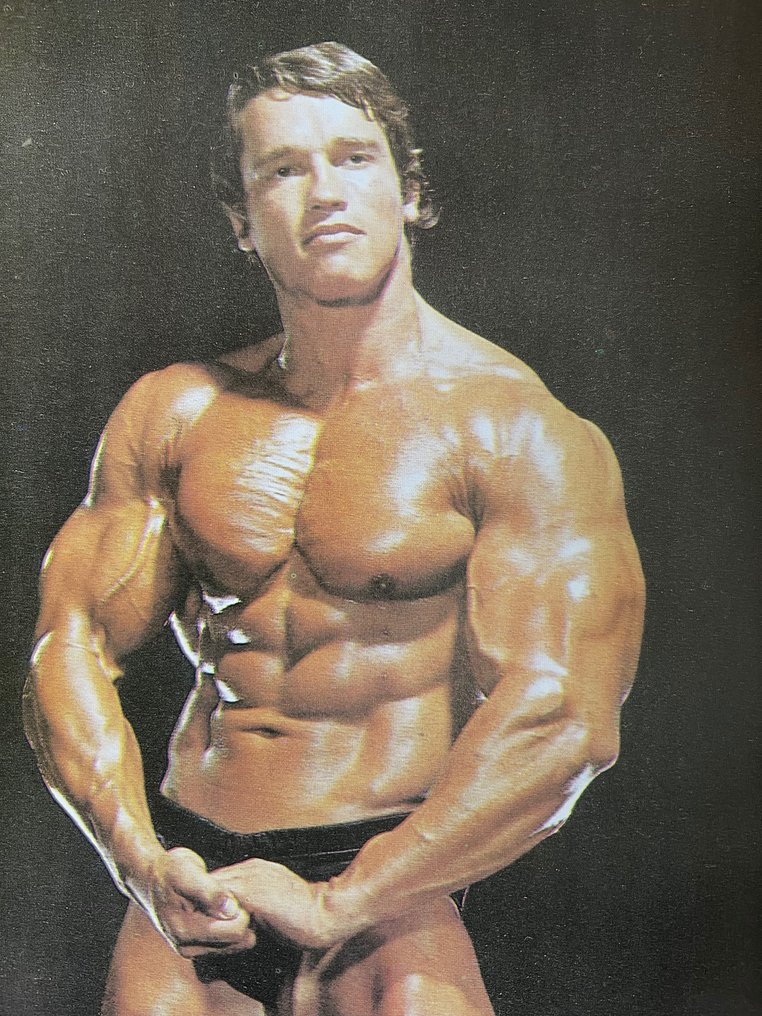 A.S. - Arnold Schwarzenegger - original poster - 1980s - Catawiki
