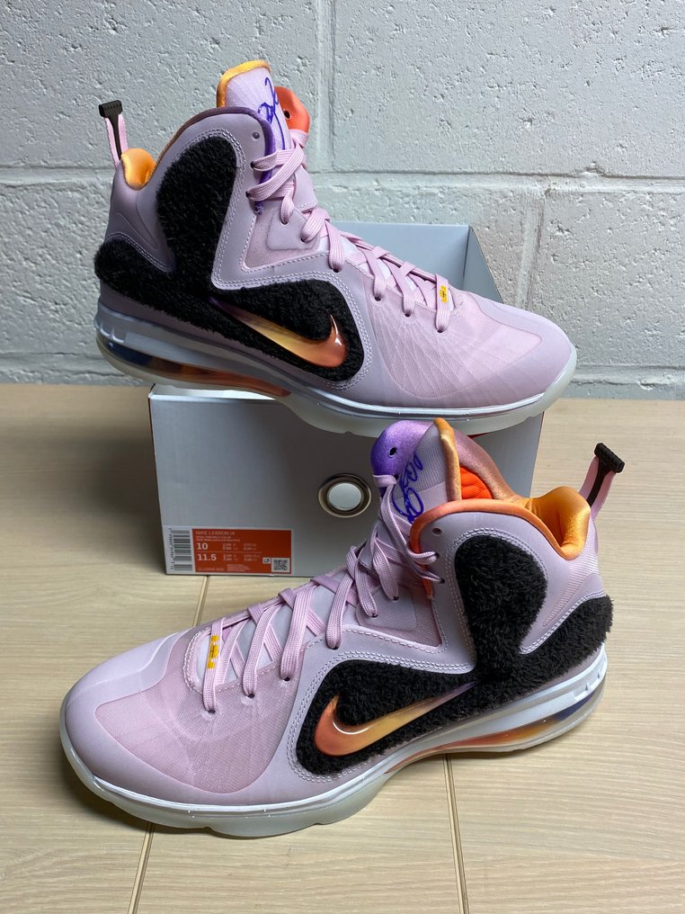 Nike - Lebron James Grateful Régal Pink P44 - Sneakers - - Catawiki
