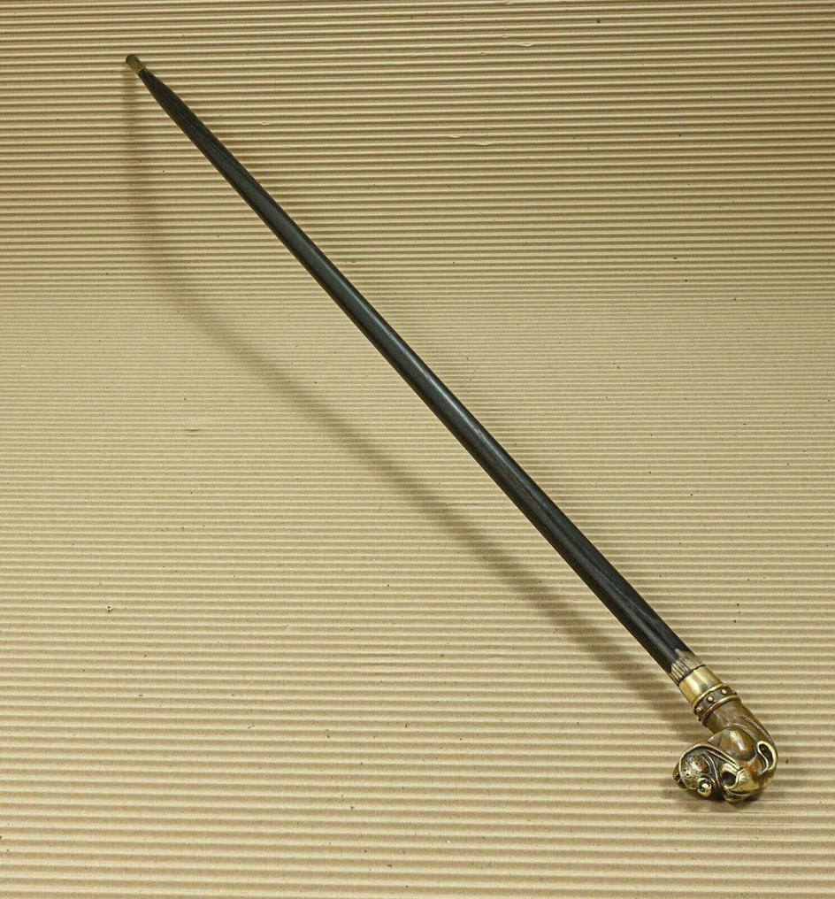 Vintage Walking Stick Dog Brass, Wood 19th century Catawiki