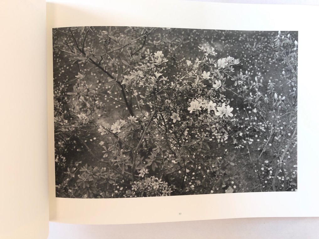 lee-friedlander-cherry-blossom-time-in-japan-the-catawiki