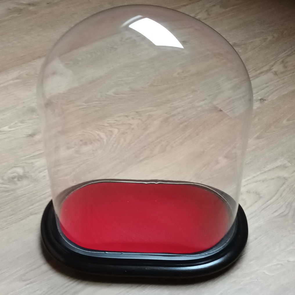 leveren boksen Redelijk Ovale wereldbol in geblazen glas (45 cm) - Glas - hout - - Catawiki