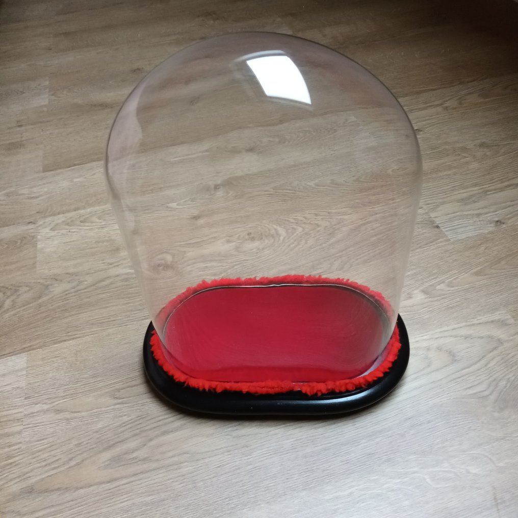 leveren boksen Redelijk Ovale wereldbol in geblazen glas (45 cm) - Glas - hout - - Catawiki