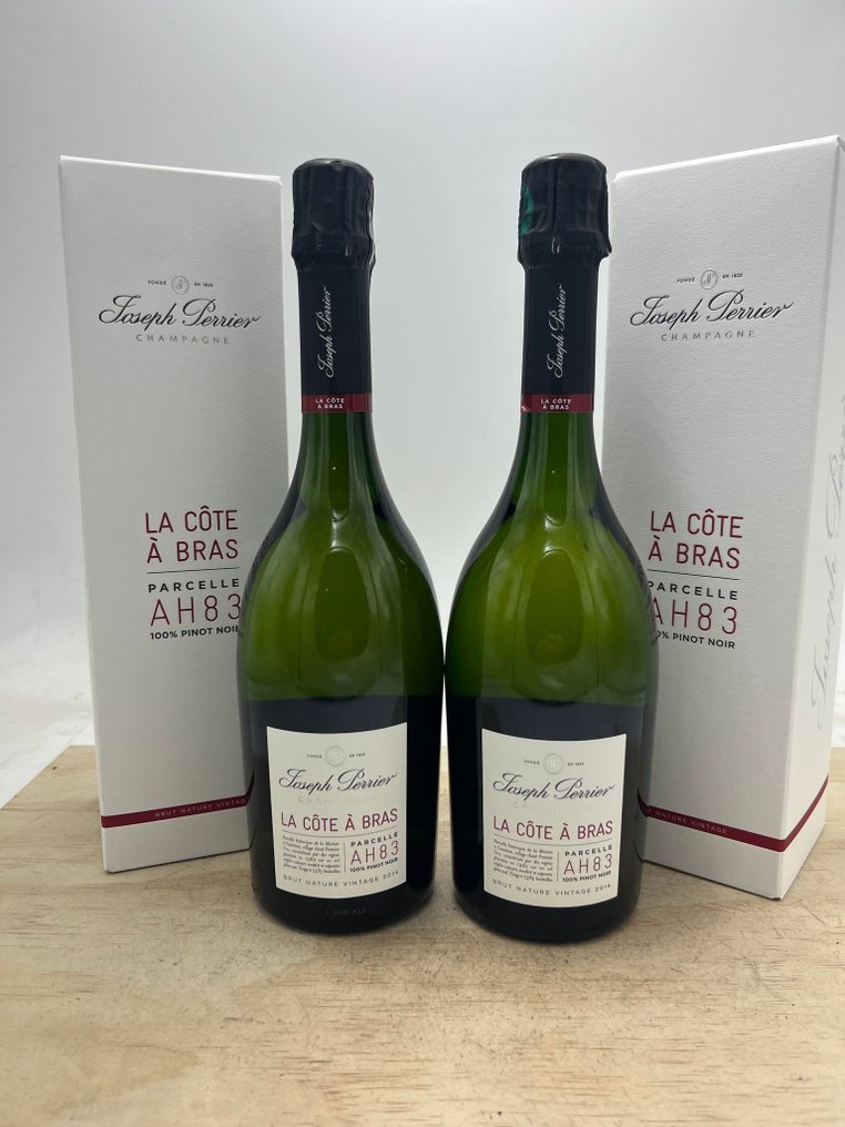 2014 Joseph Perrier, La Côte à Bras Parcelle AH83 Brut Nature - Champagne  Blanc de Noirs - 2 Bottles (0.75L) - Catawiki