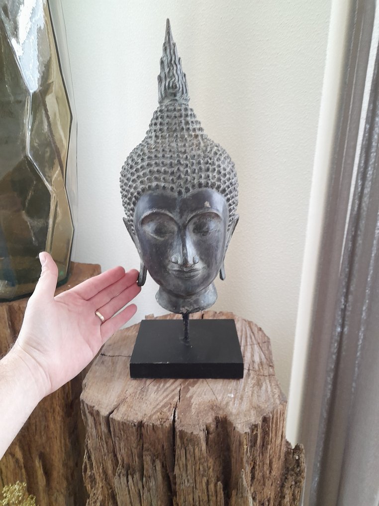 Groot Boeddha hoofd op standaard - kg - Brons - Buddha -