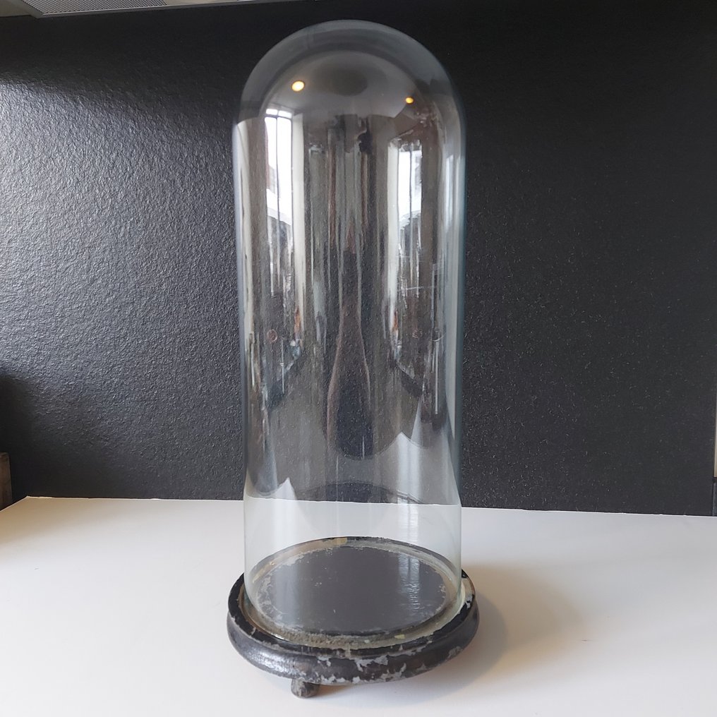 High Antique Bell Jar 50 cm Glass Catawiki