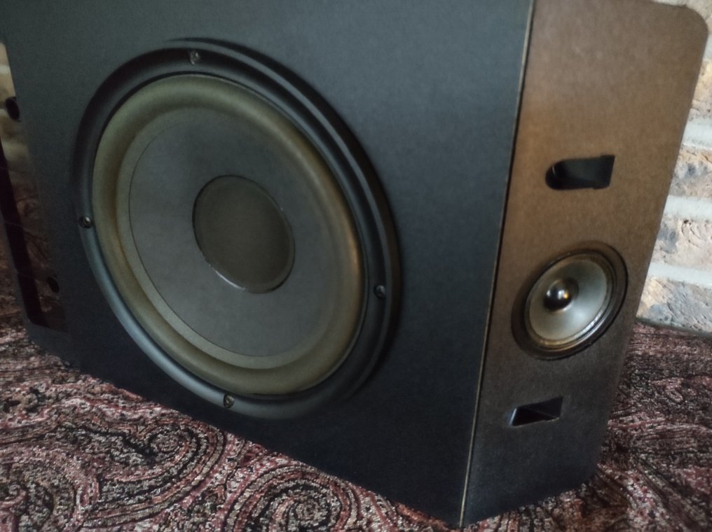 Bose - 301 Series - Direct System Speaker - Catawiki