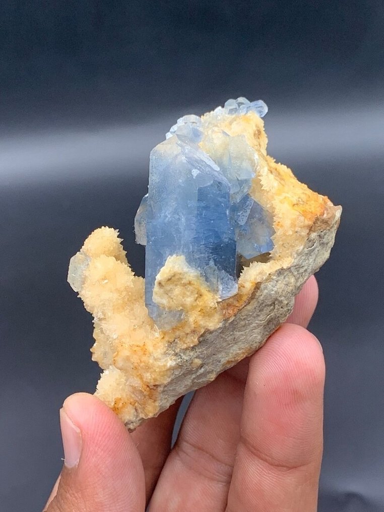 celestine blue blazers