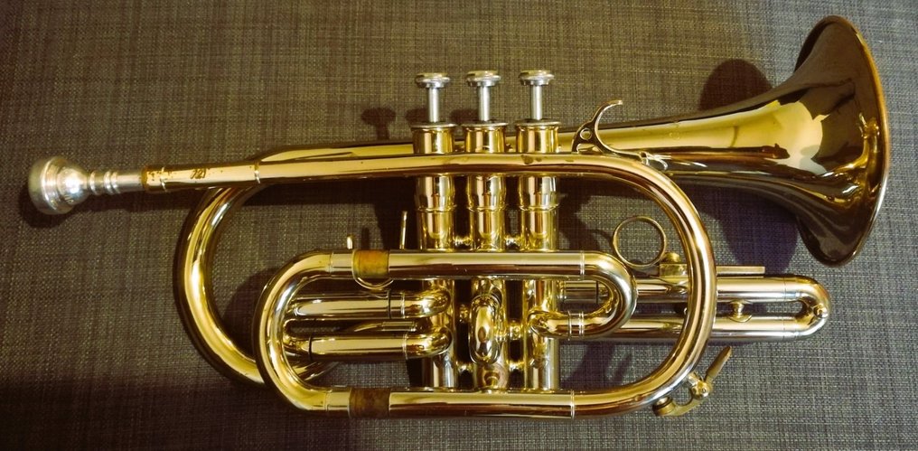 Courtois cornet online