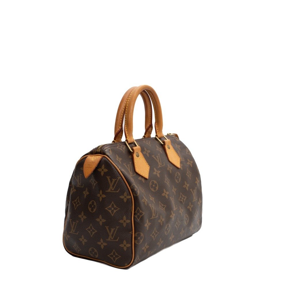 Louis Vuitton - Speedy 25 Handbag - Catawiki