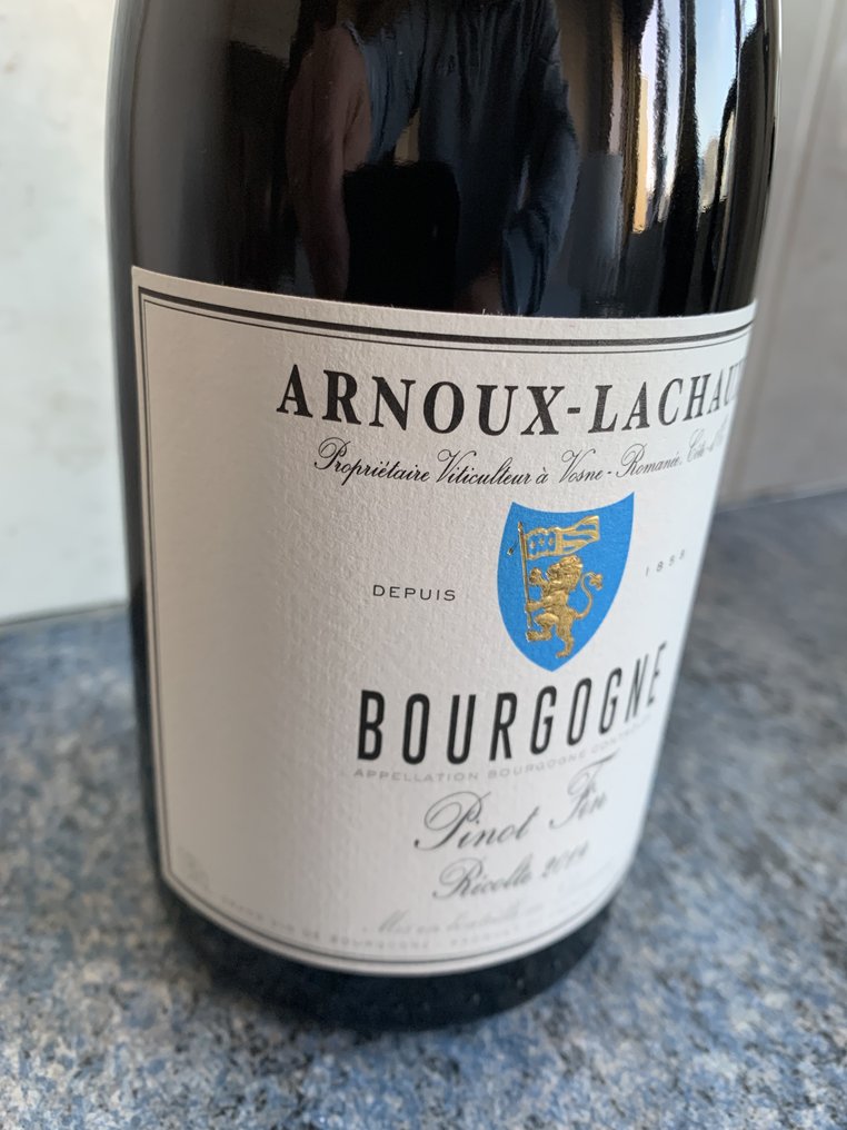 2019 Domaine Arnoux Lachaux Pinot Fin Bourgogne 1 Flasche 0